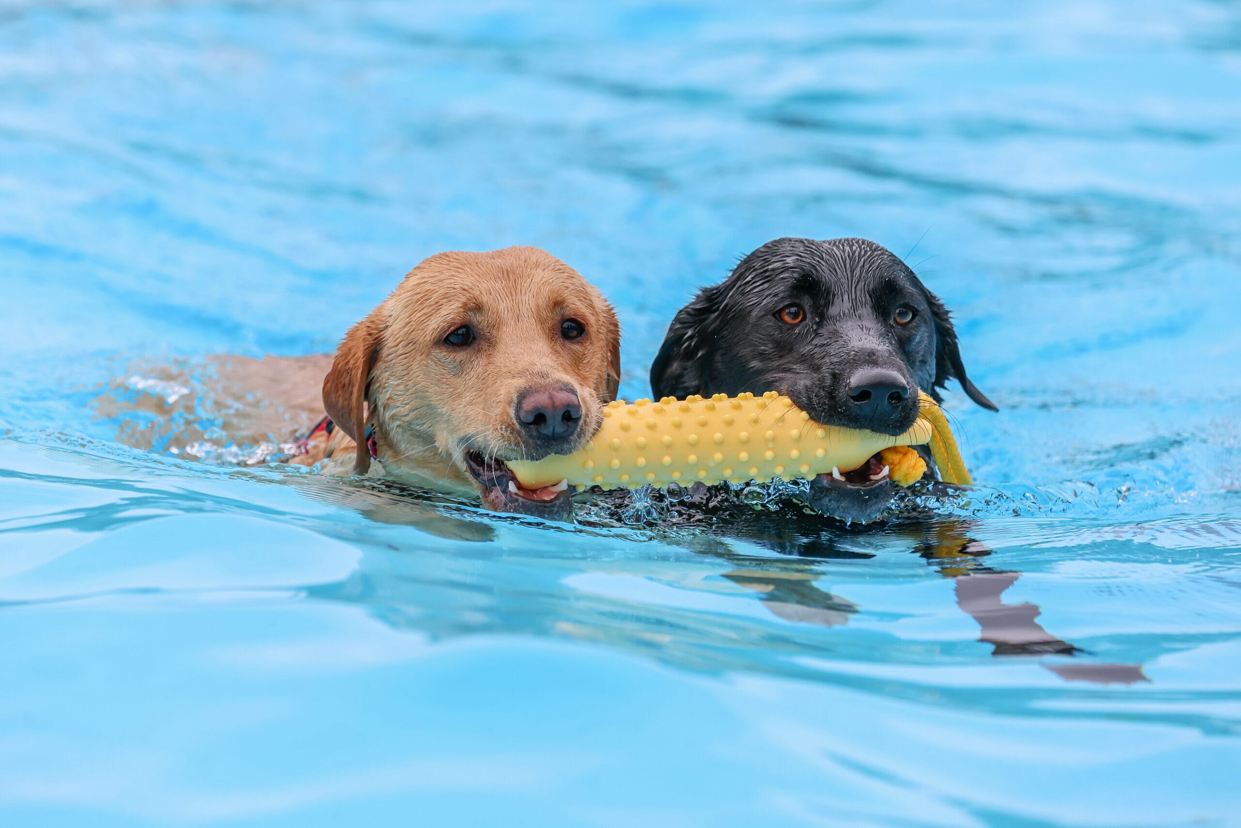 SP3_0028-Edit-scaled.jpg?w=1024&h=683&scale