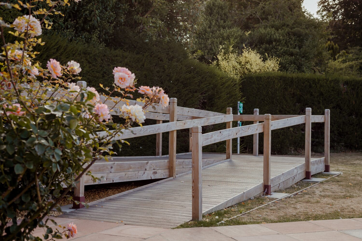 20250827_SLLeggexLido_030_1500px