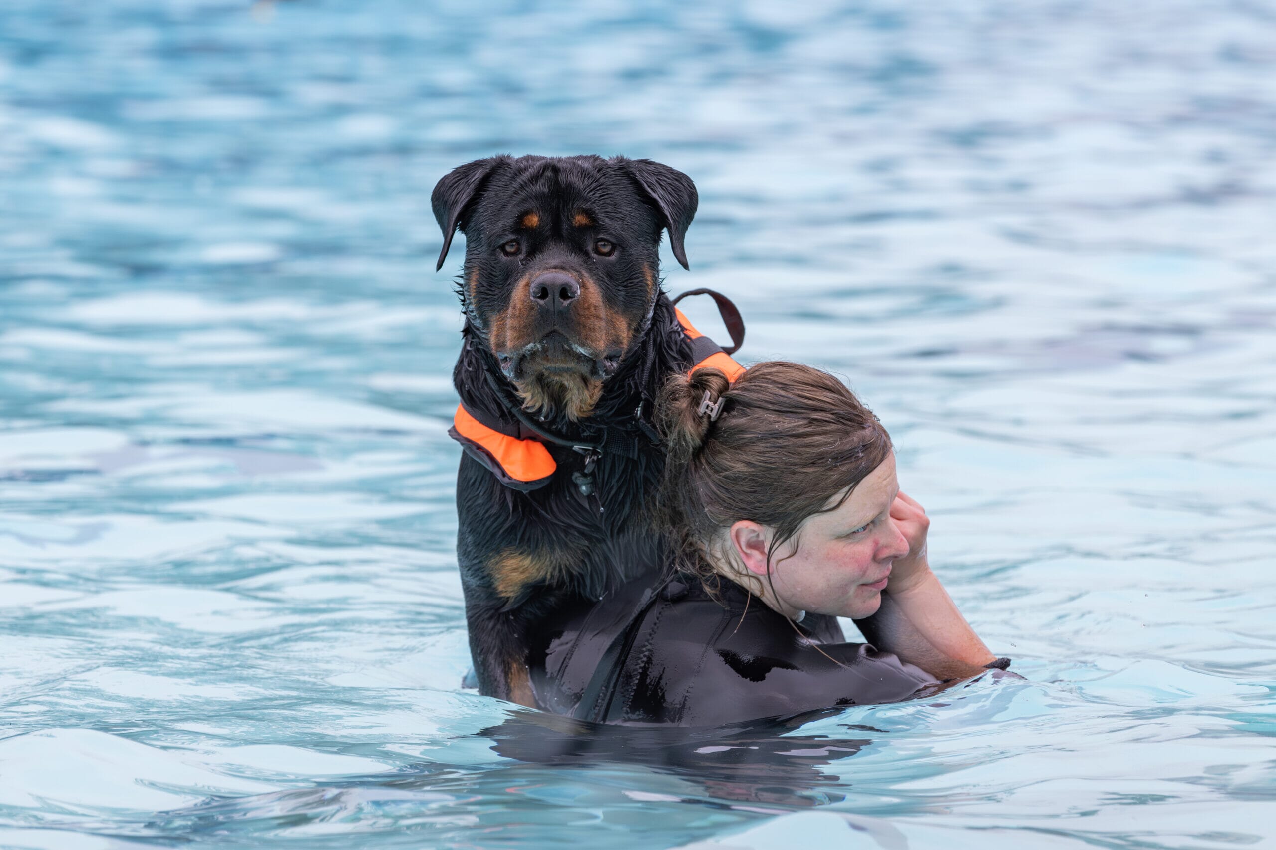 D1B_0583-scaled.jpg?w=1024&h=683&scale